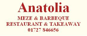 Anatolia Logo